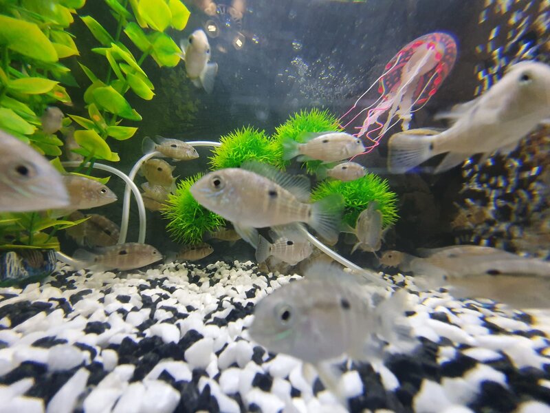 WhatsApp Image 2022-03-11 at 2.10.07 PM.jpeg