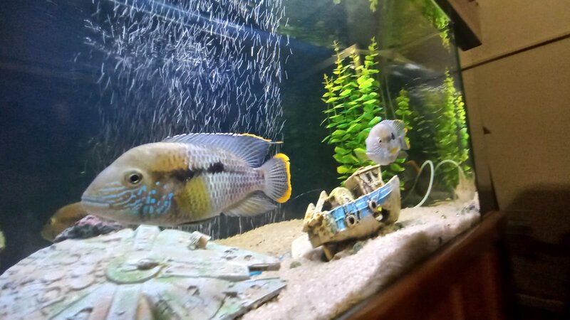 WhatsApp Image 2022-03-11 at 2.13.42 PM.jpeg