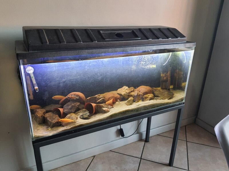 WhatsApp Image 2022-10-26 at 12.40.21 (1).jpeg