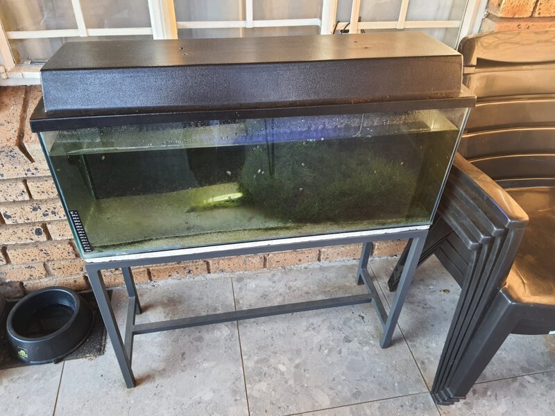 WhatsApp Image 2022-10-26 at 12.40.21.jpeg