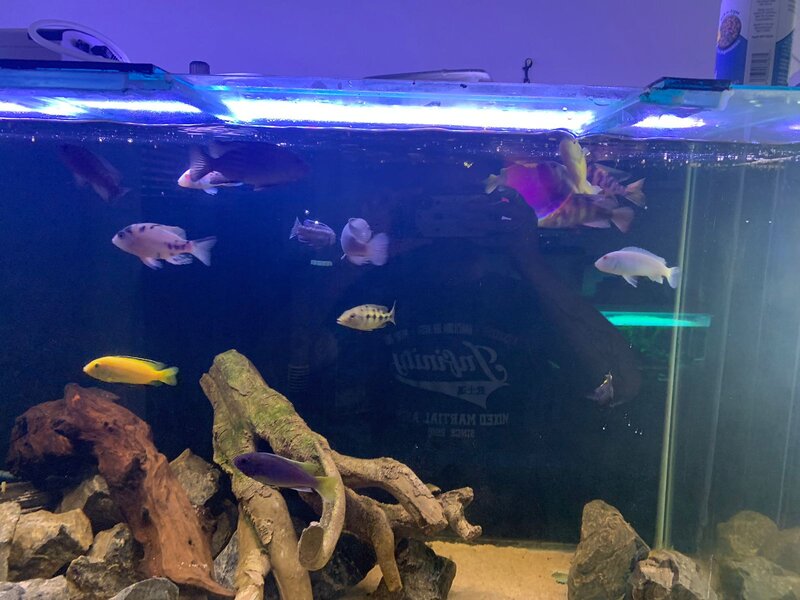 WhatsApp Image 2022-11-07 at 4.04.29 PM (1).jpeg