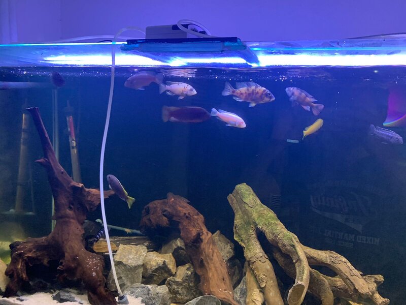 WhatsApp Image 2022-11-07 at 4.04.29 PM (2).jpeg