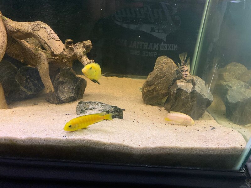 WhatsApp Image 2022-11-07 at 4.04.29 PM.jpeg