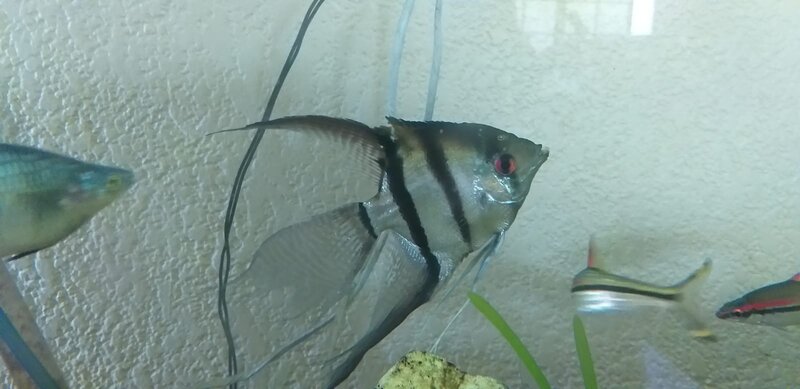 WhatsApp Image 2022-11-13 at 12.22.29.jpeg