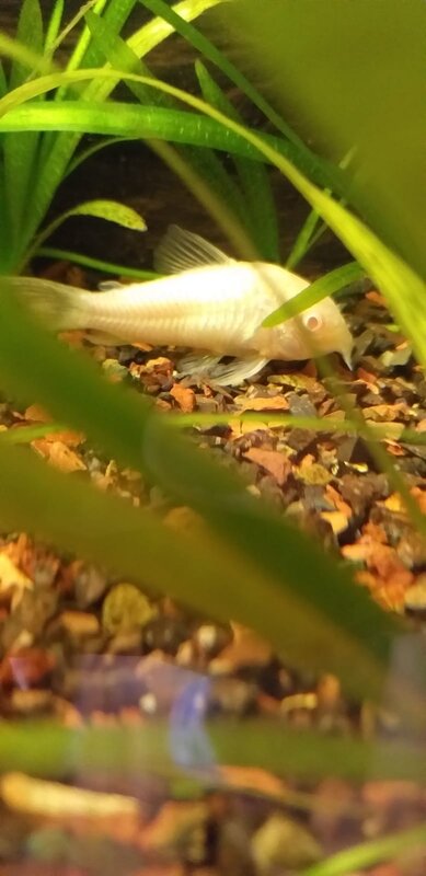 WhatsApp Image 2022-11-13 at 12.22.33 (1).jpeg