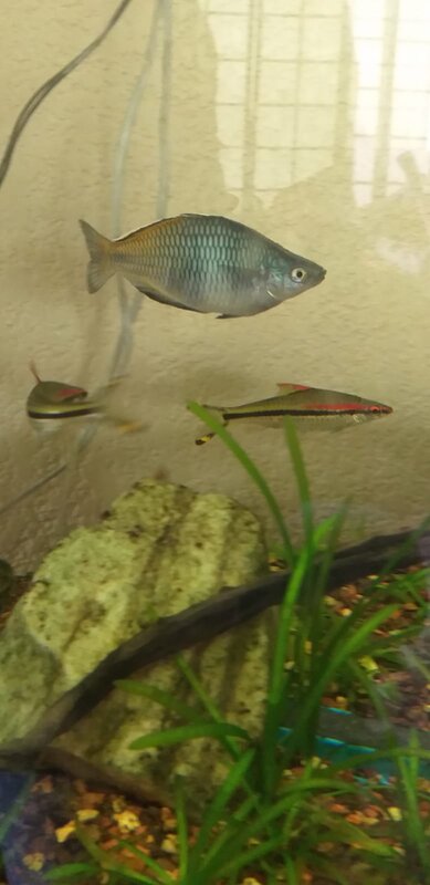 WhatsApp Image 2022-11-13 at 12.22.33.jpeg