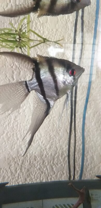 WhatsApp Image 2022-11-13 at 12.22.34 (1).jpeg