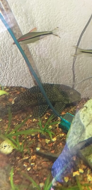 WhatsApp Image 2022-11-13 at 12.22.34.jpeg