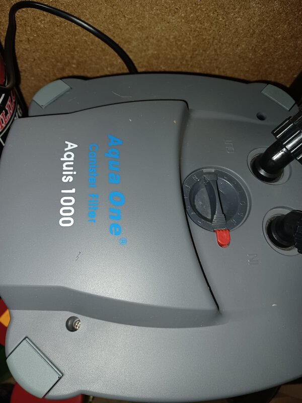 WhatsApp Image 2022-11-13 at 13.24.07.jpeg