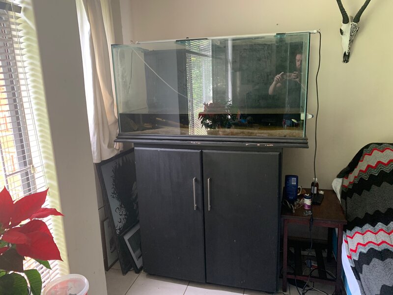 WhatsApp Image 2023-01-08 at 10.03.40.jpeg