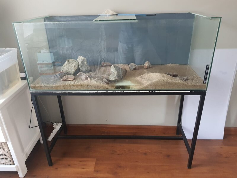 WhatsApp Image 2023-03-09 at 07.22.29.jpeg