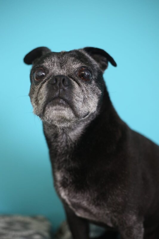 WhatsApp Image 2025-04-23 at 13.23.18_ae230c1f.jpg