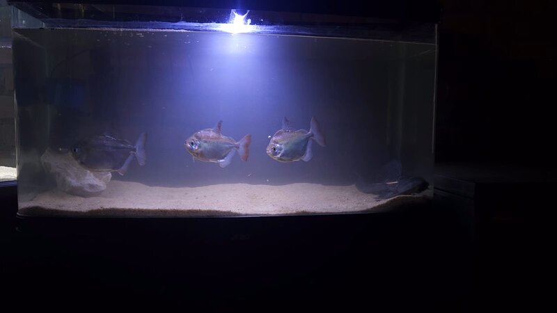 WhatsApp Image 2025-11-12 at 11.30.42_9c7aa5ff.jpg