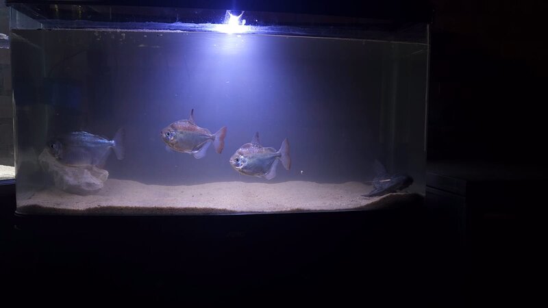 WhatsApp Image 2025-11-12 at 11.30.43_c33f1b83.jpg