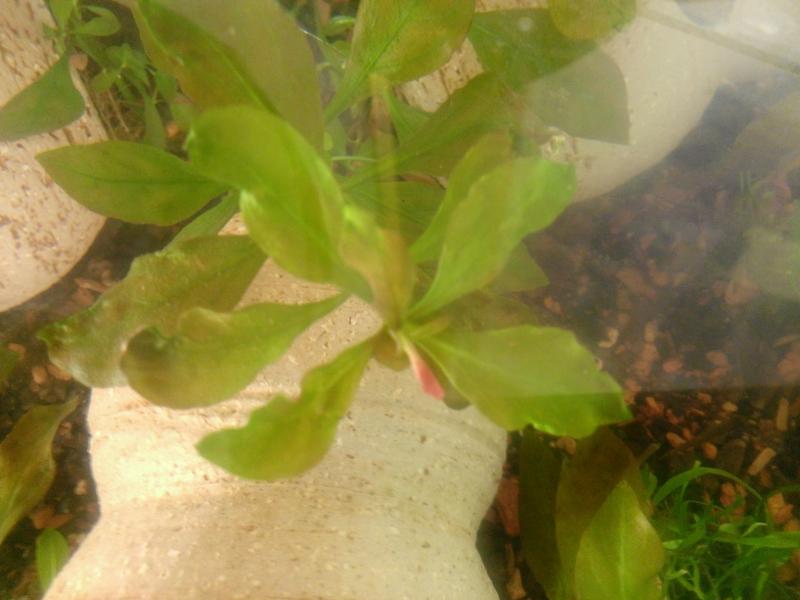 WP_20130805_005.jpg