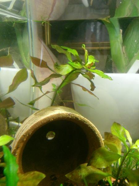 WP_20130806_001.jpg
