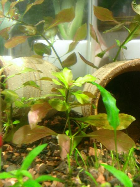 WP_20130806_002.jpg