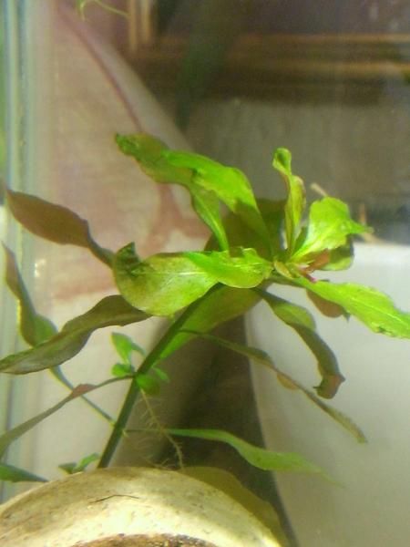 WP_20130806_003.jpg