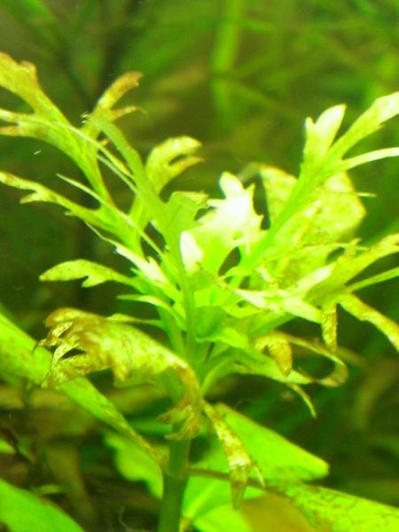 WP_20130807_006.jpg
