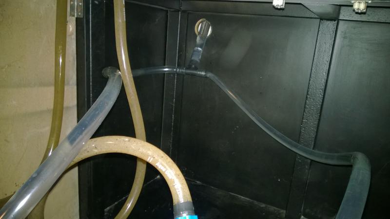 WP_20140602_008.jpg
