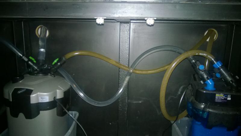 WP_20140602_009.jpg