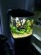 jsplayn