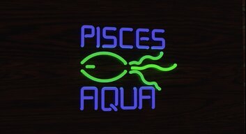 Pisces Aqua