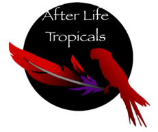 After Life Tropicals