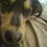 Moya